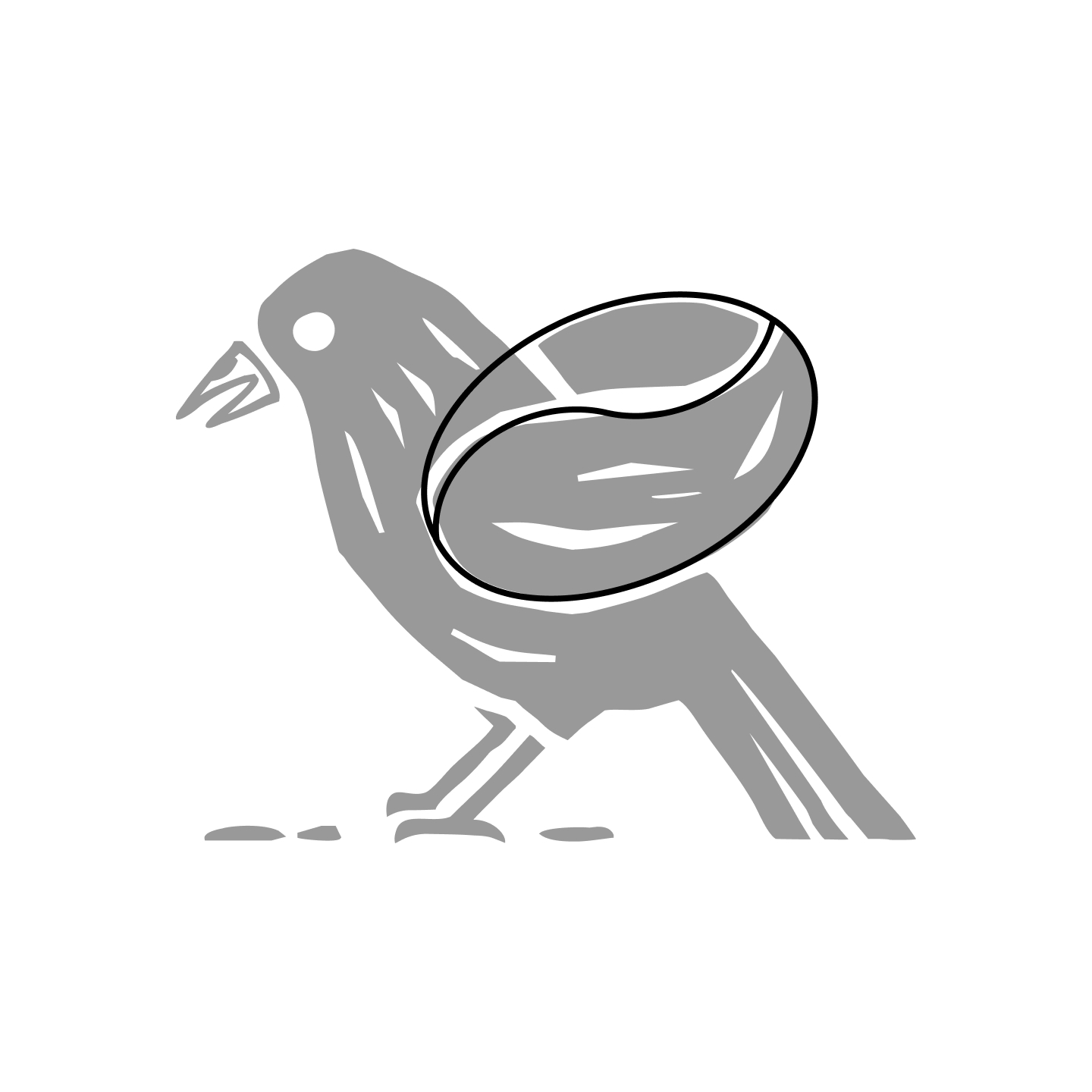 MARNEI_Logo01