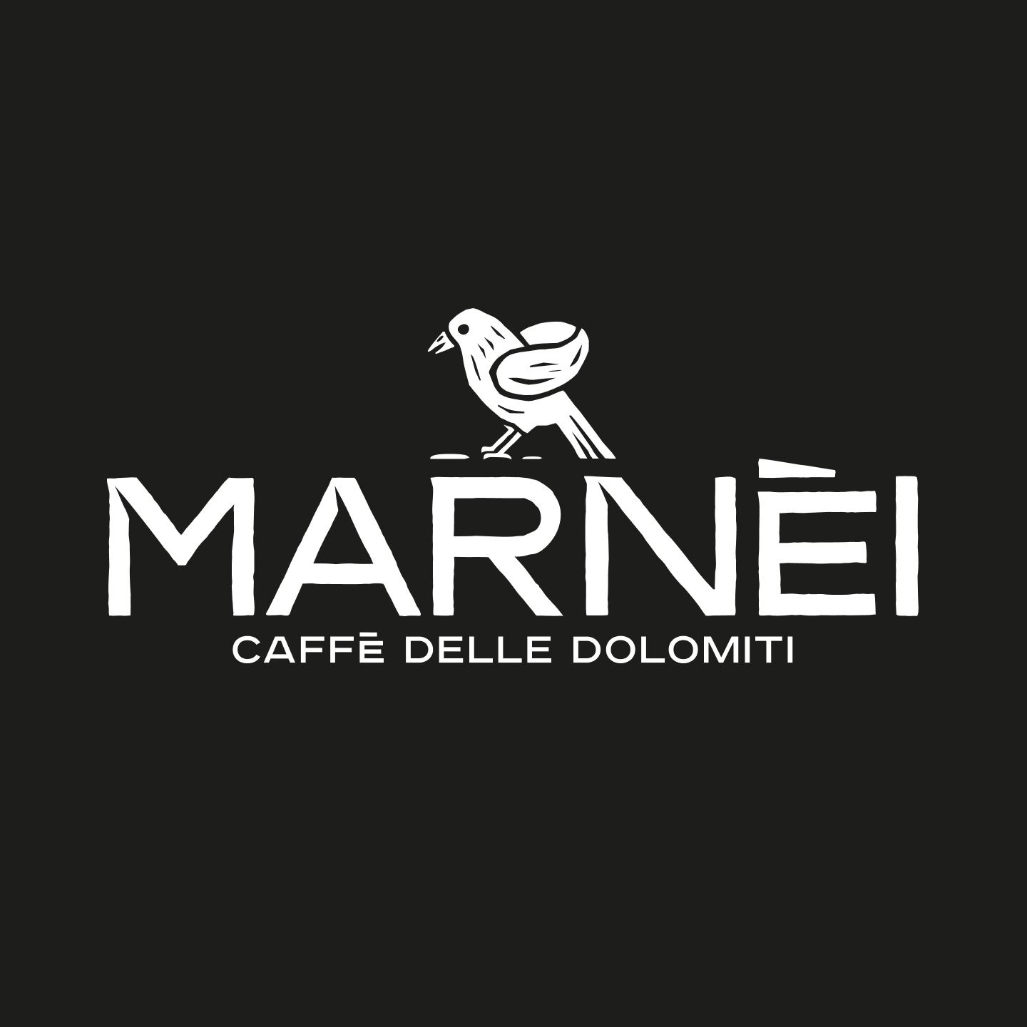 MARNEI_Logo02